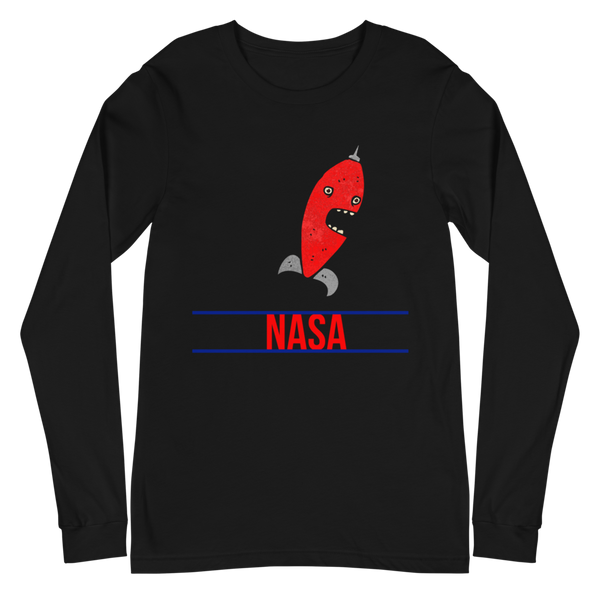 Space ASA