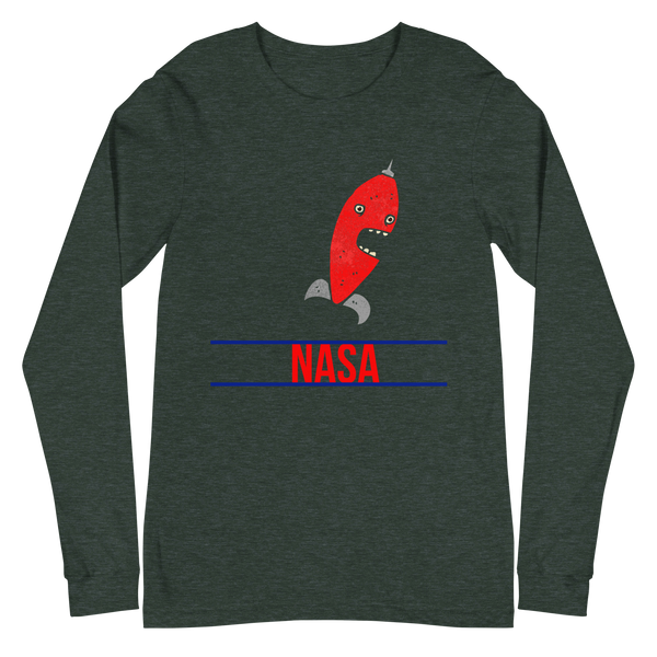 Space ASA