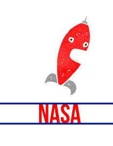 Space ASA