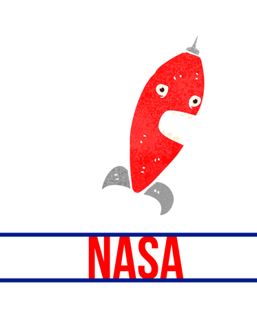 Space ASA