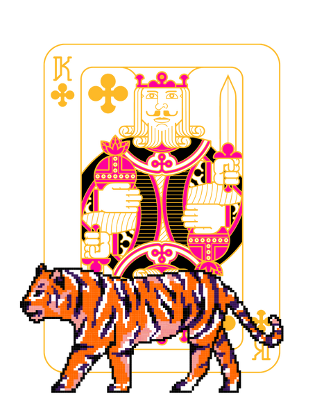 Ace Lion
