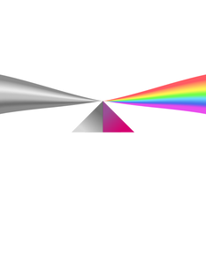 The Bright Side of Sexuality