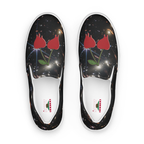 Interstellar Caviar Men’s slip-on canvas shoes