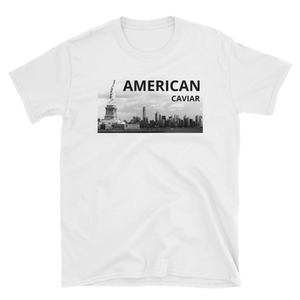 New York, New York - Shirt Caviar 