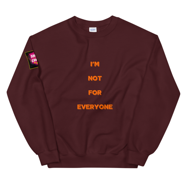 Not_For_You.exe