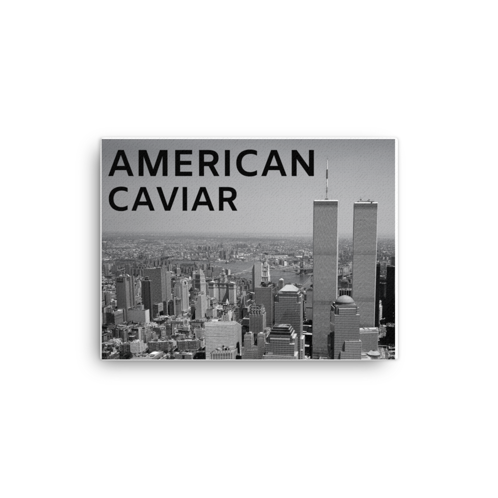 Twin Towers Canvas - Shirt Caviar 