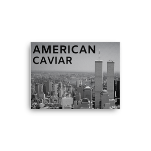 Twin Towers Canvas - Shirt Caviar 