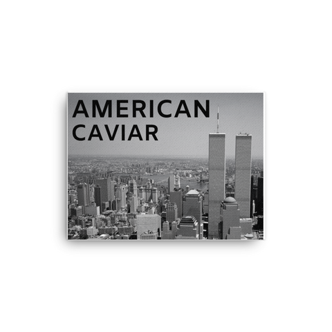 Twin Towers Canvas - Shirt Caviar 
