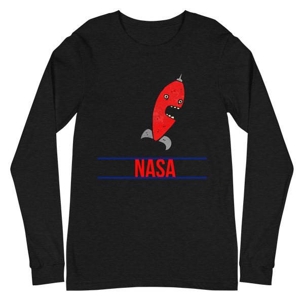 Space ASA