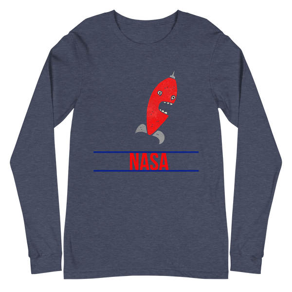 Space ASA