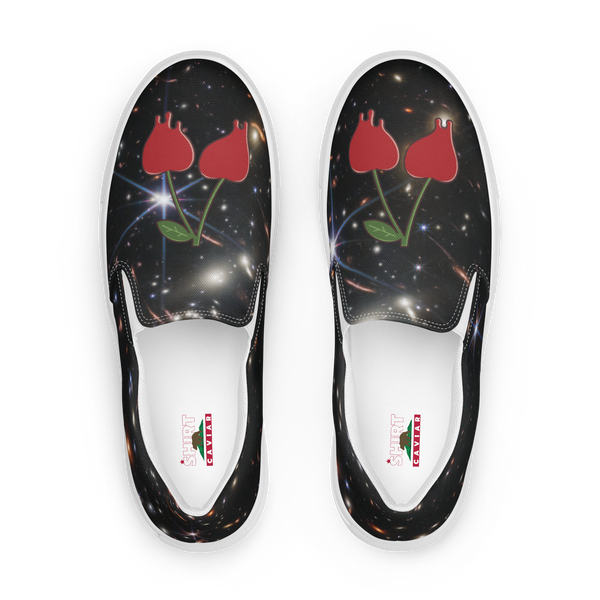 Interstellar Caviar Women’s slip-on canvas shoes